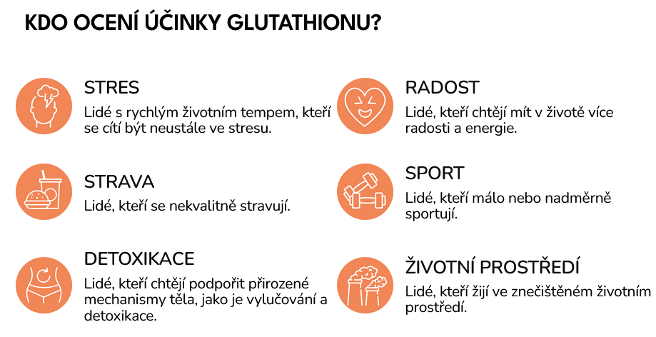 Screenshot 2025-09-22 at 09-45-12 Liposomální glutathion 60 kapslí - Puravia.cz